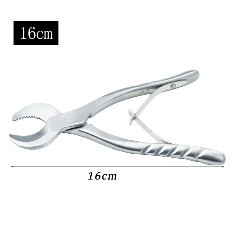 

Dental Forceps Stainless Steel Gypsum Scissors Pliers Serrated Blade Cutting Machines Dental Instruments