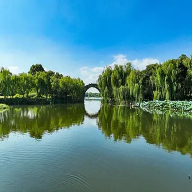 

HGLRC M100 MINI GPS чип 10-го поколения с тремя режимами позиционирования 3,3 В-5 В для гоночного дрона FPV для RC FPV дрона для фристайла