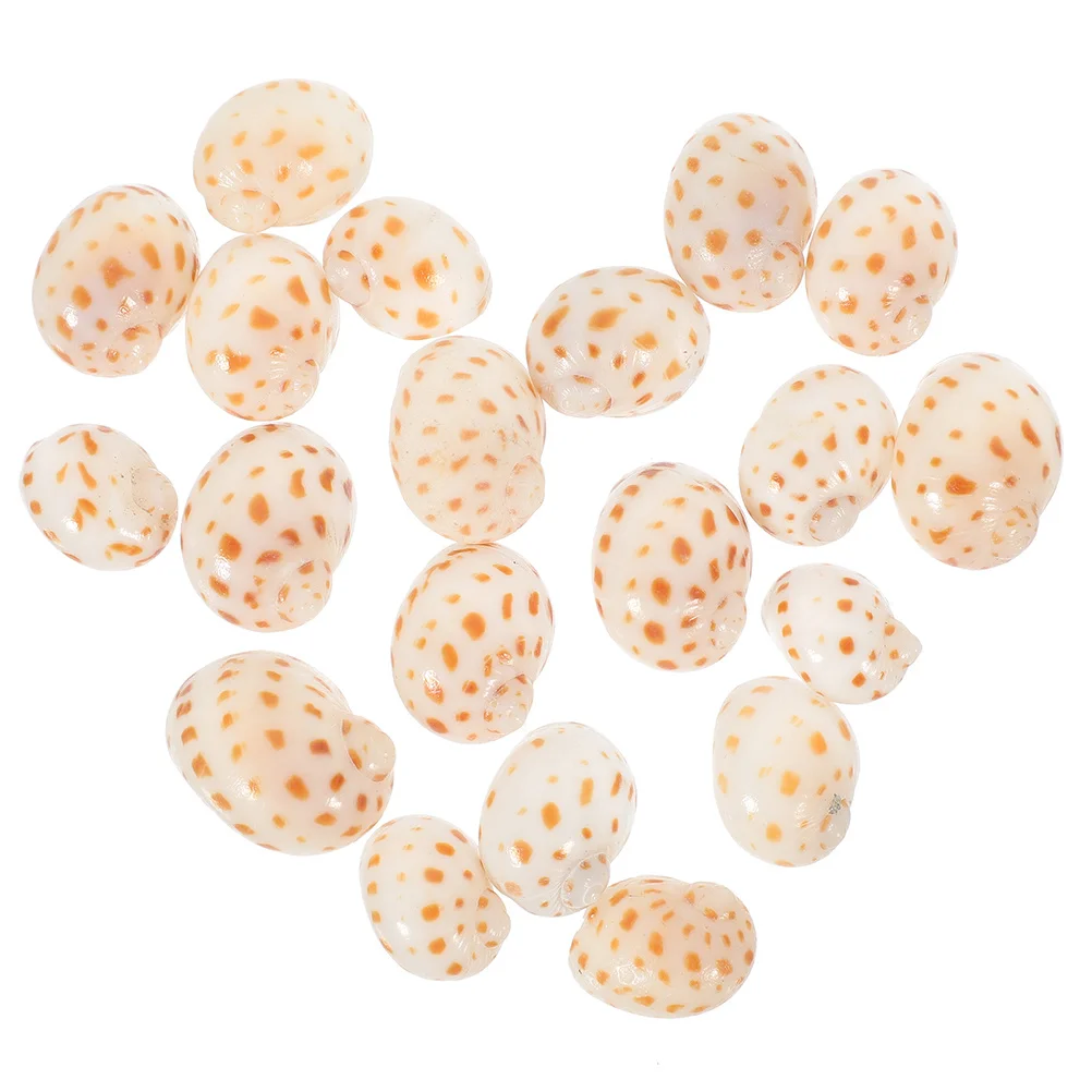 

40Pcs Natural Small Conch Shells Hermit Crab Shells Aquarium Decor Fish Tank Landscaping DIY Accessories Natural Conch Craft