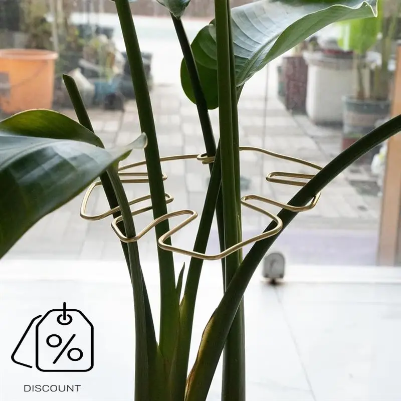 ABJO-Monstera Поддержка стебля 5 шт. Система поддержки растений для растений Monstera и черепахи-качественные зажимы для листьев