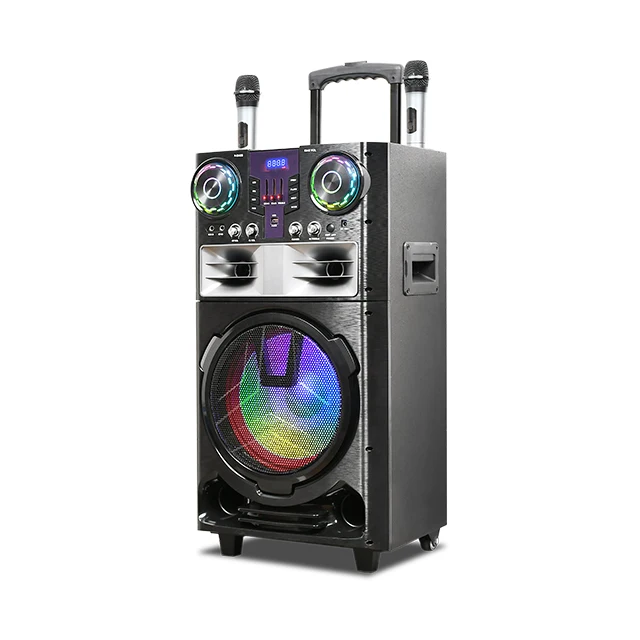 

China Factory 12inch Speaker HS-TS12Q8 Bluetooth Karaoke Speaker 80W Wireless Outdoor Speaker