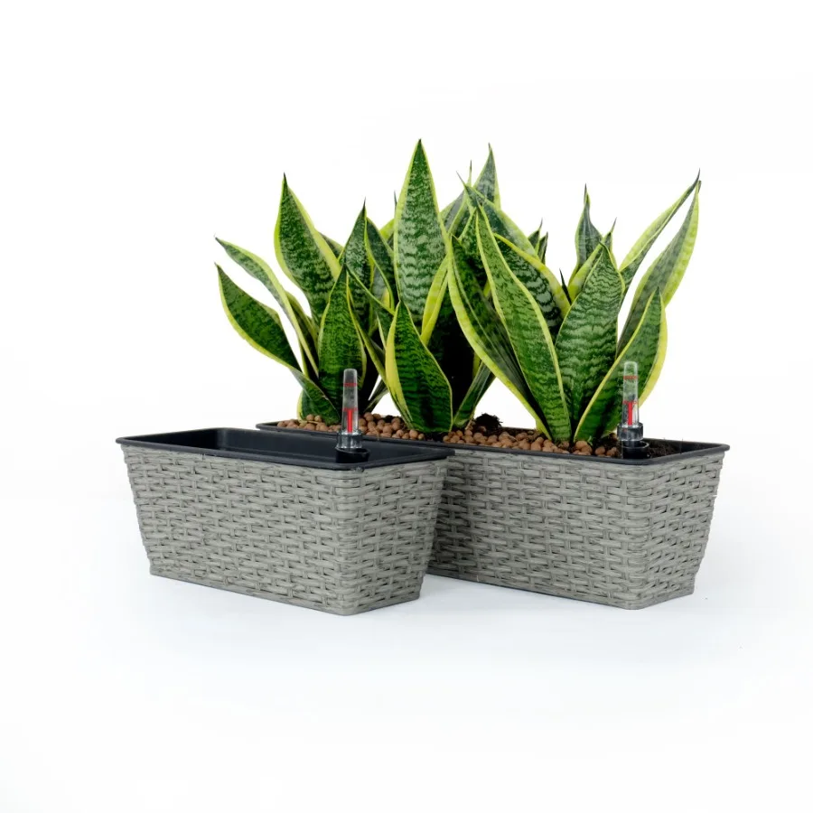 

2Pack Smart Selfwatering Rectangle Planter for Indoor and Outdoor Hand Woven Wicker Gray