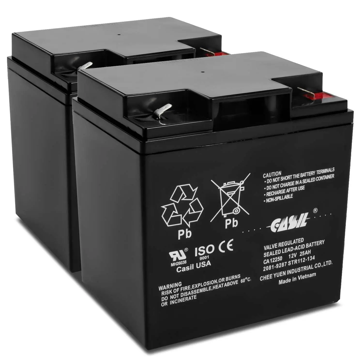 Fire Alarm Control Panel Battery 12V 25Ah F2 Terminal 2 Pack, Customized