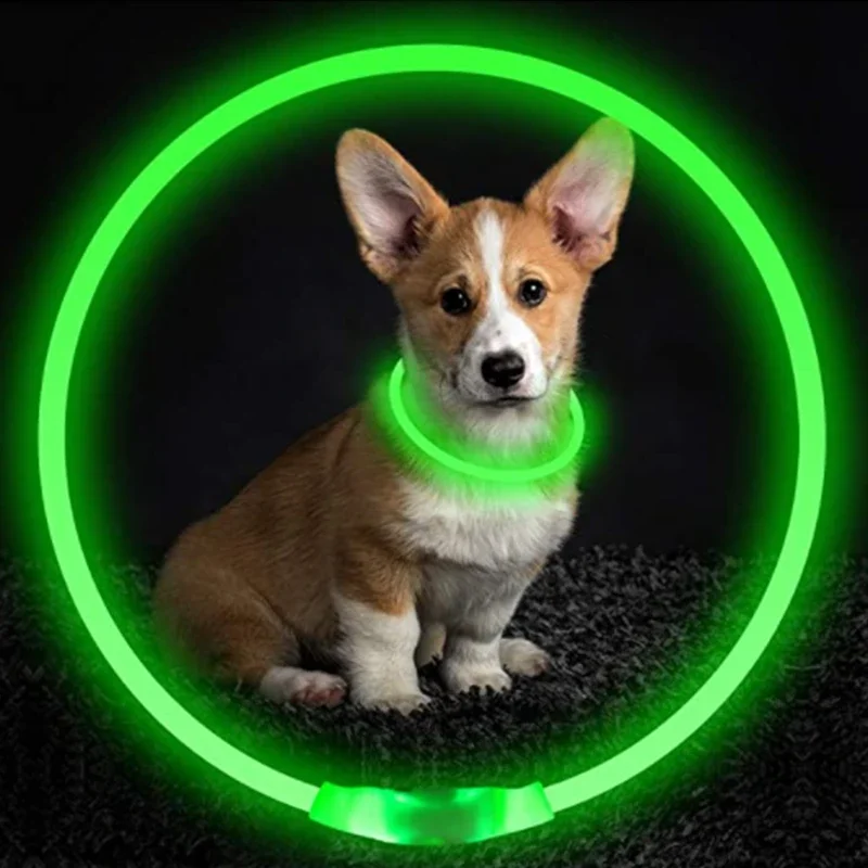 Led Glowing Dog Collar  Luminous Collar Adjustable Night Light  Harness Dog Leash For Girl Small Dogs Cat Pet Safety Accessories