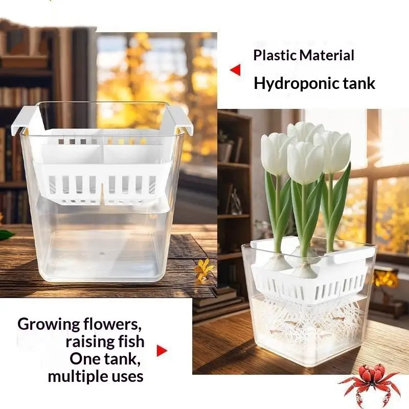 Tulpen-Saatgut Hydroponischer Blumentopf mit Atmungsaktivem Stützkorb 4 Löcher Erdlose Heimdekoration Hydroponische Behälter