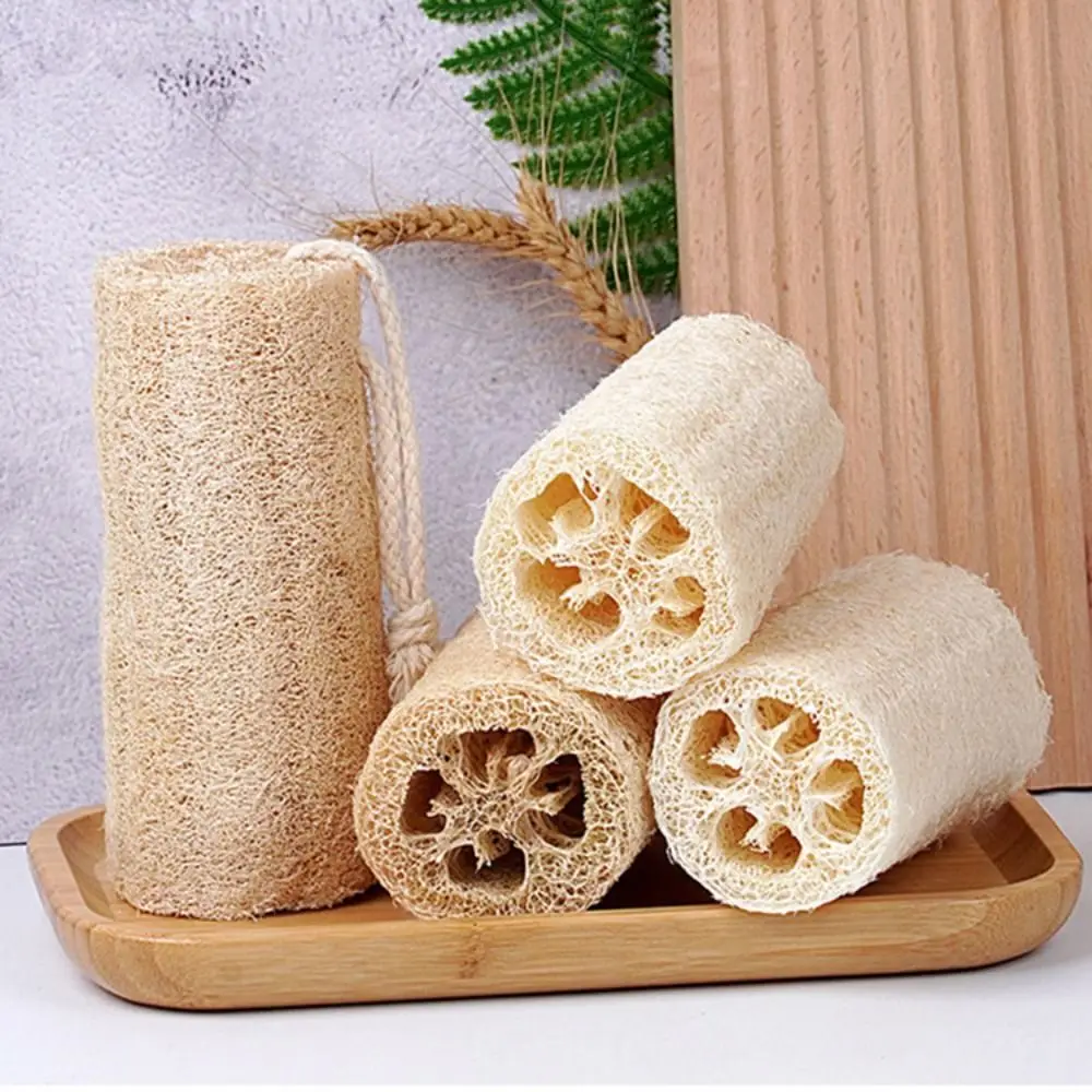 Petite brosse en luffa avec UL, éponge de bain écologique pour le corps, épurateur de cuisine, outil de nettoyage HOClean, pot expansif, bol