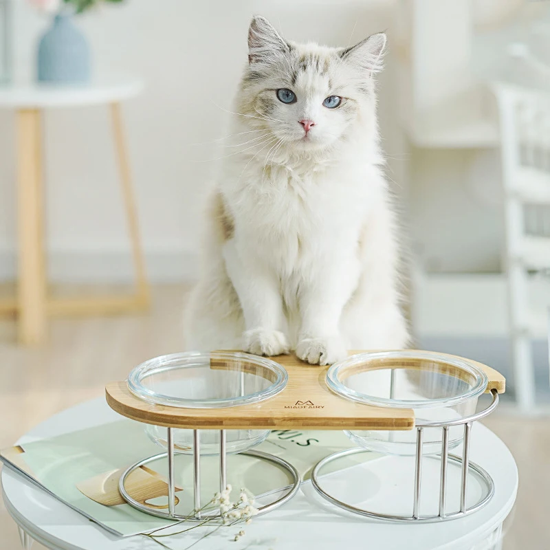 

Meow FairyINSSimple and stylish wooden cat bowl, high borosilicate glass elevated bowl with wooden stand, cat supplies