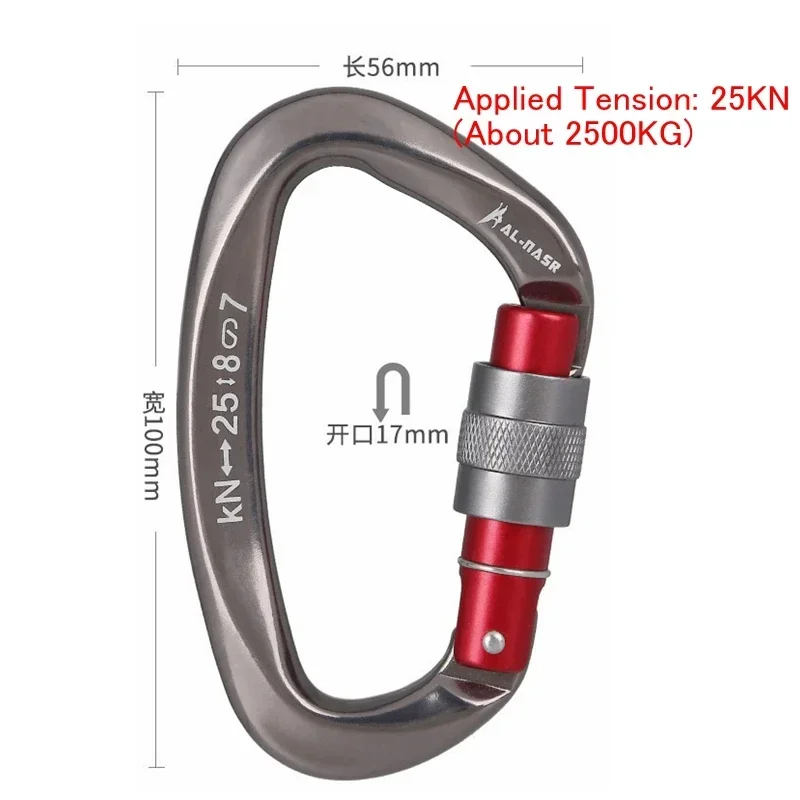 12/25KN Professional Safety Carabiner D Shape Key Hooks Aluminum Climbing Security Master Lock Outdoor Ascend Camping Tools