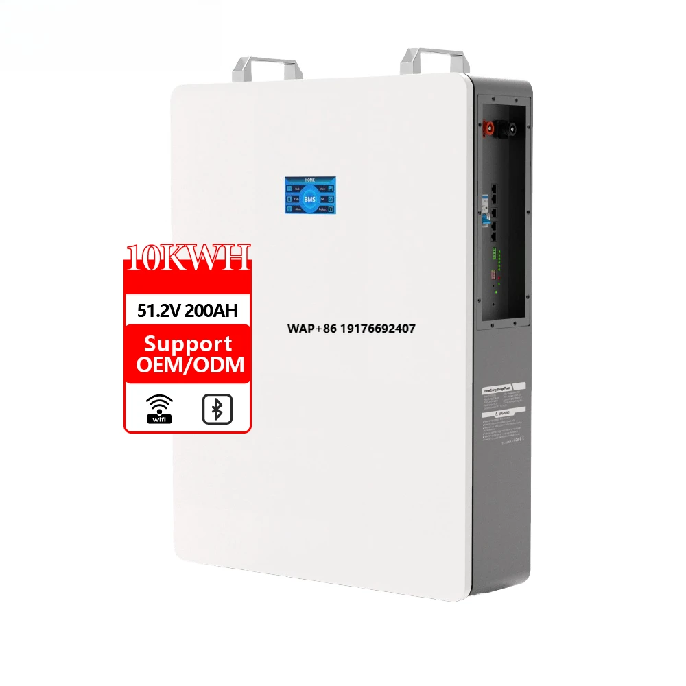 ECOFOTORO 51.2V 200Ah 10KWh Home Energy Storage System Lithium Iron Phosphate BMS Battery Lithium Ion Battery Pack for Wall