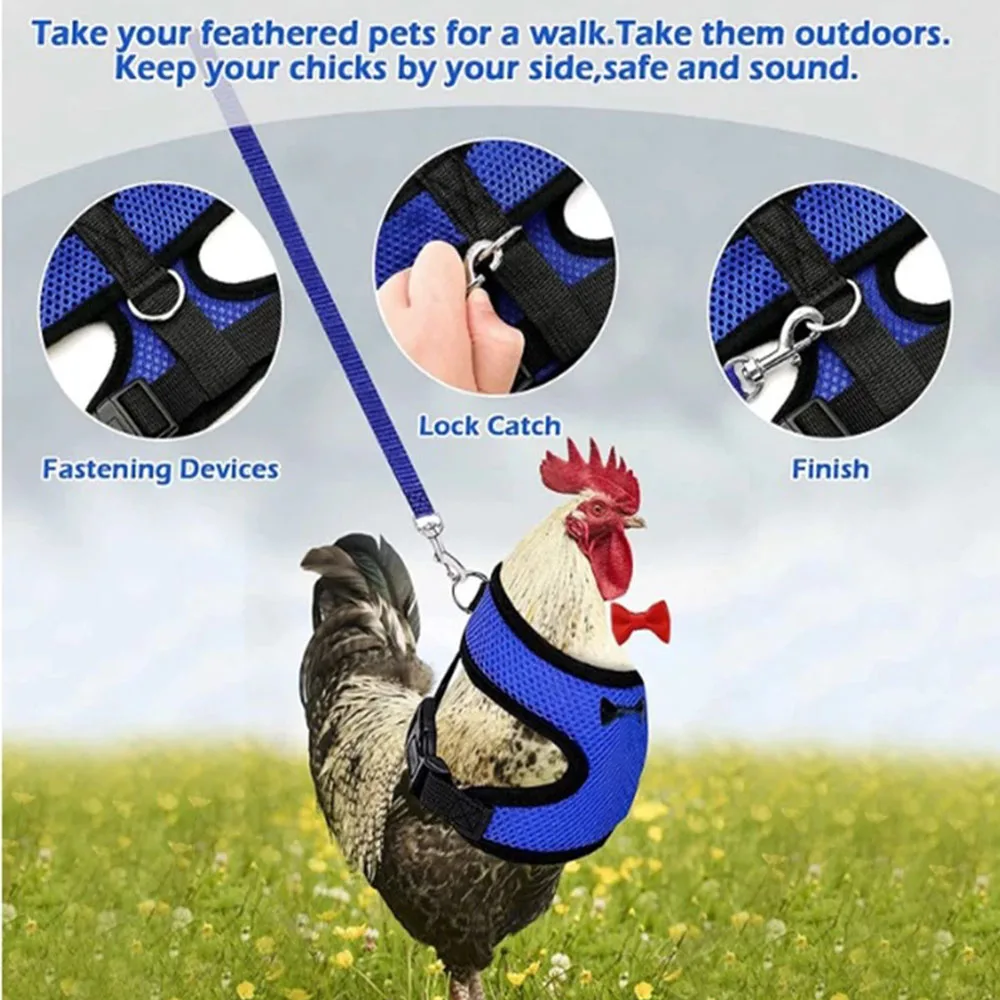 Pet vest belt Adjustable Breathable chicken duck fashion mesh pet with chest back set  plus traction chicken duck goose training