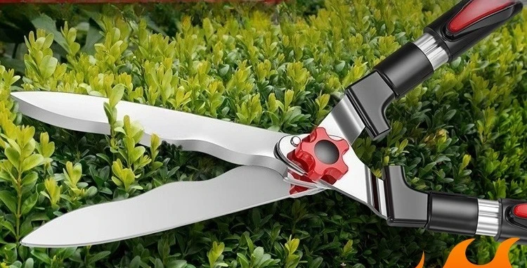 Садовники используют газонокосилку для отделки цветов и травы. Один секатор в руке, оставляет без мертвых ветвей.