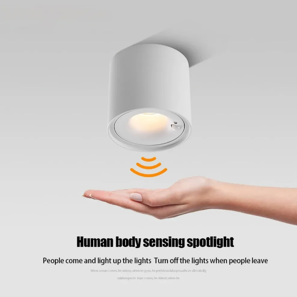 PIR Motion Sensor LED Ceiling Downlight Surface Mounted Anti-Glare Smart Stair Bedroom Home Spot Lighting Fixture Full spectrum