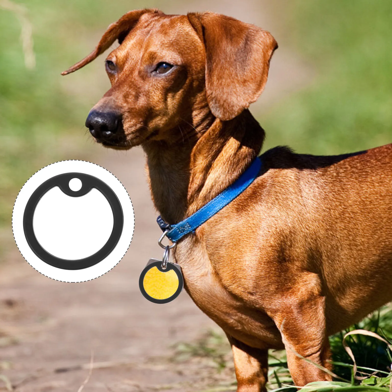 

15 Pcs Dog Tag Protective Cover Silicone Collar Tags Round Pet Silencers Noise Free Lightweight Comfortable Accessories Dog Pet