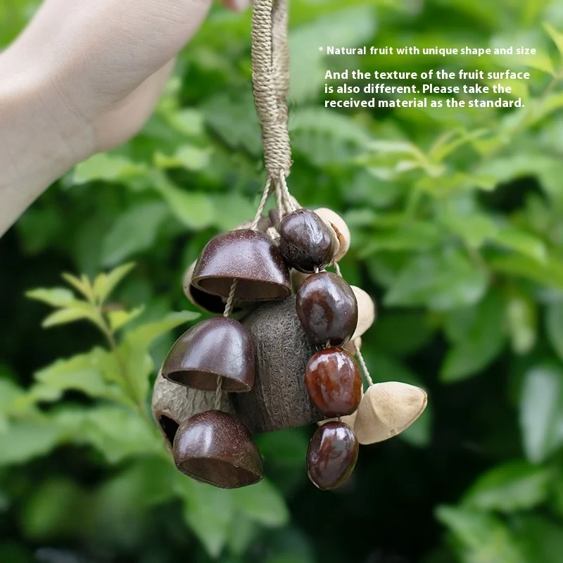 

South American Fruit Shell Bell Natural Plant Sound Pendant Healing Accompaniment Percussion Musical Instruments Accessories