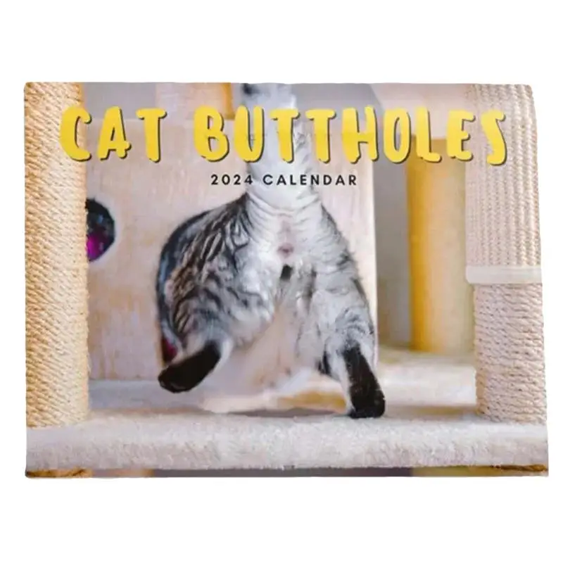 

Cat Balls Calendar 2024 Hangable Cute Cats Wall Calendar Kitten Calendar Gifts for Cat Lovers Track Appointments 28x21x1.5cm