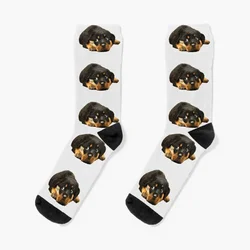 ¡Rottweiler es el más lindo! Calcetines térmicos divertidos para niñas y hombres, venta al por mayor, correr, Invierno