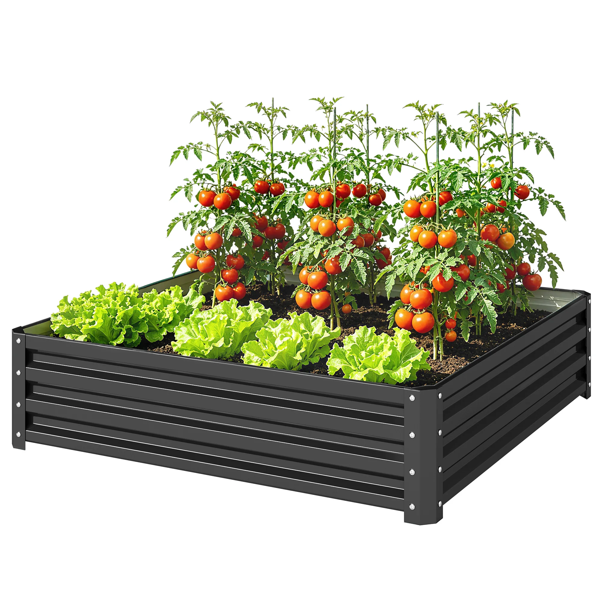 Graues 4' x 4' erhöhtes Garten – Raised Garden Bed Bewertung und Preis