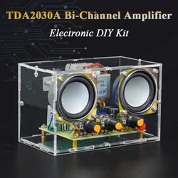 Electronic DIY TDA2030 Dual Channel Amplifier Kit Transparent Housing Audio Electronic Welding Assembly Exercise Kit