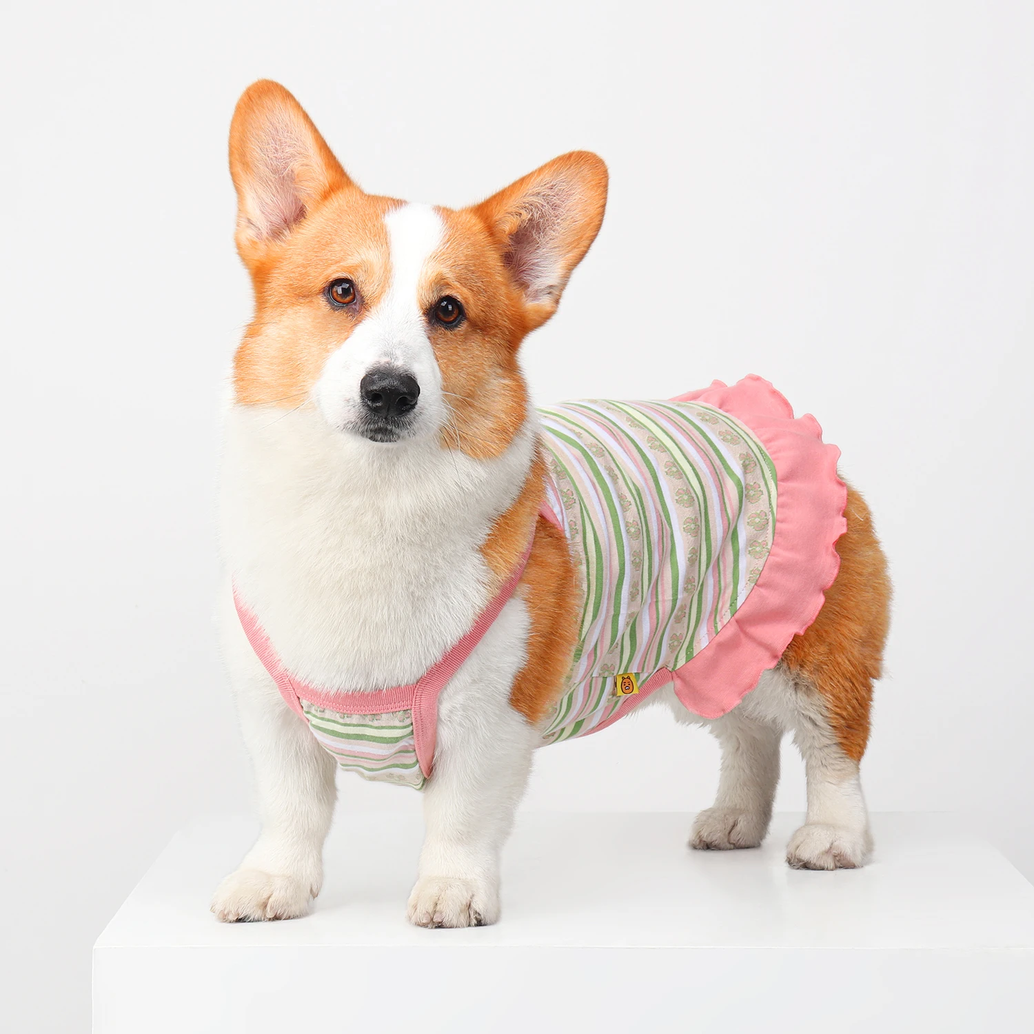

2025 new corgi clothes spring and summer thin cute suspender skirt medium and small dog summer pet dog skirt