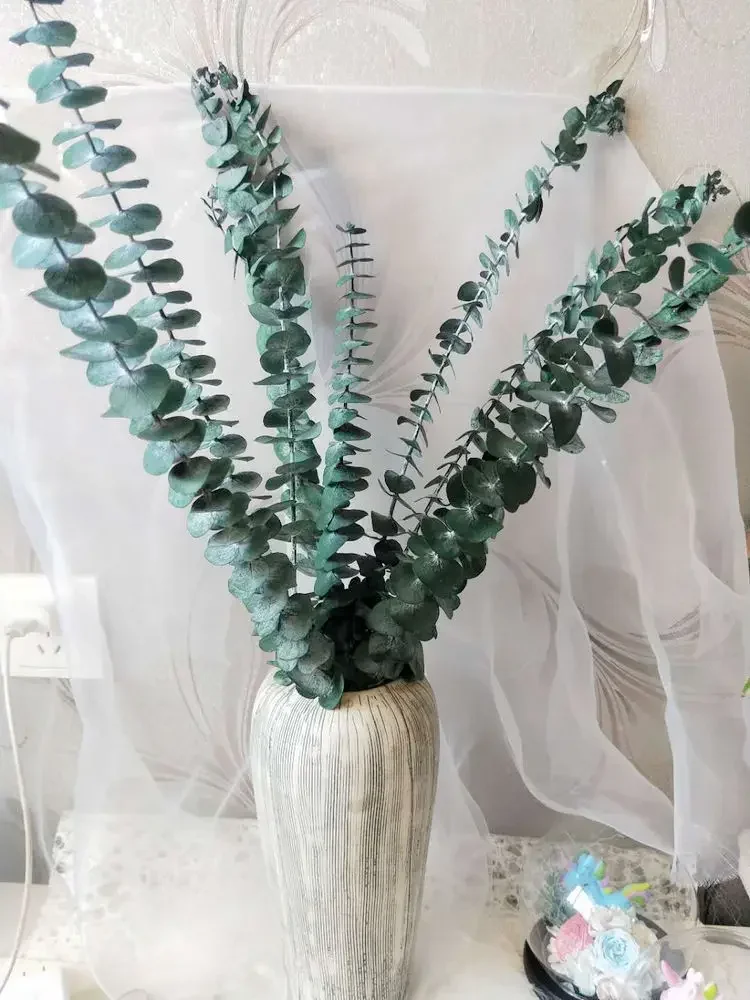 Real Dried Eucalyptus Branches,Preserved Fresh Flower Bouquet,Nature Green Plant Leaves,Garden, Home, Wedding Decoration,45-50cm