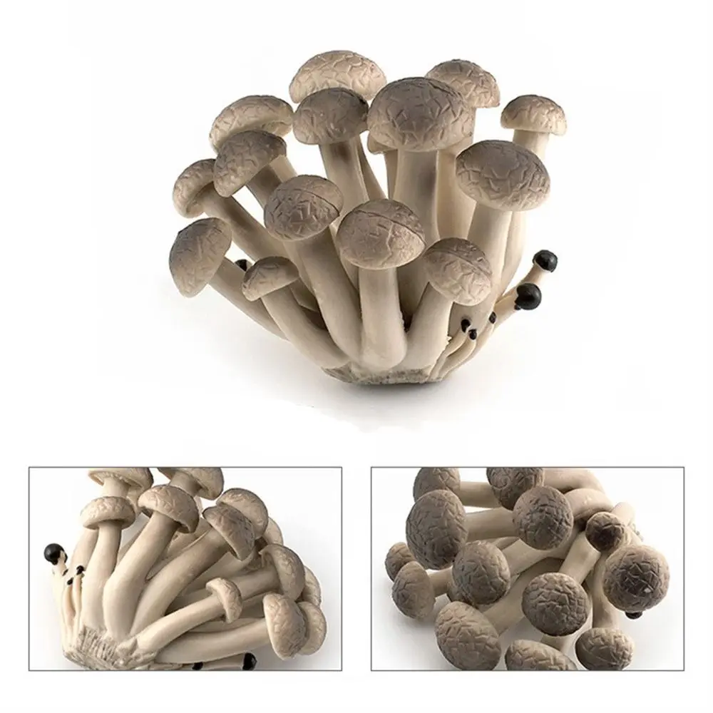 Vegetable Model Fungus Figurines Landscape Miniatures Matsutake Oyste Simulation Mushroom Plant Artificial Fungus Model