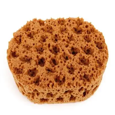 Esponja Cómoda para Pintar, Esponja Aplicadora de Pintura para Manualidades y Uso Decorativo, Esponjas para Pintar Caras