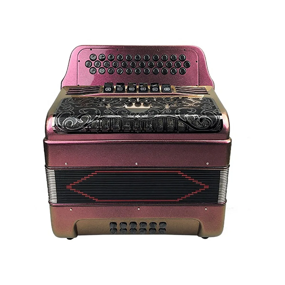 Professional Grade Accordion 34 Button 12 Bass 6 Registers Diatonic Purple JB3412E Model Black Grill Buttons