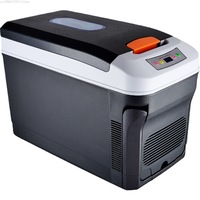 12l 15l 20l Mini Refrigerator Car Portable Fridge Freezer Cooler Warmer Dual Use Camping Caravan Bar Fridge