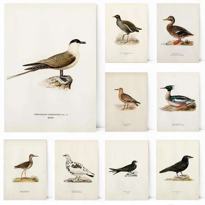 Elegant Game Bird W…