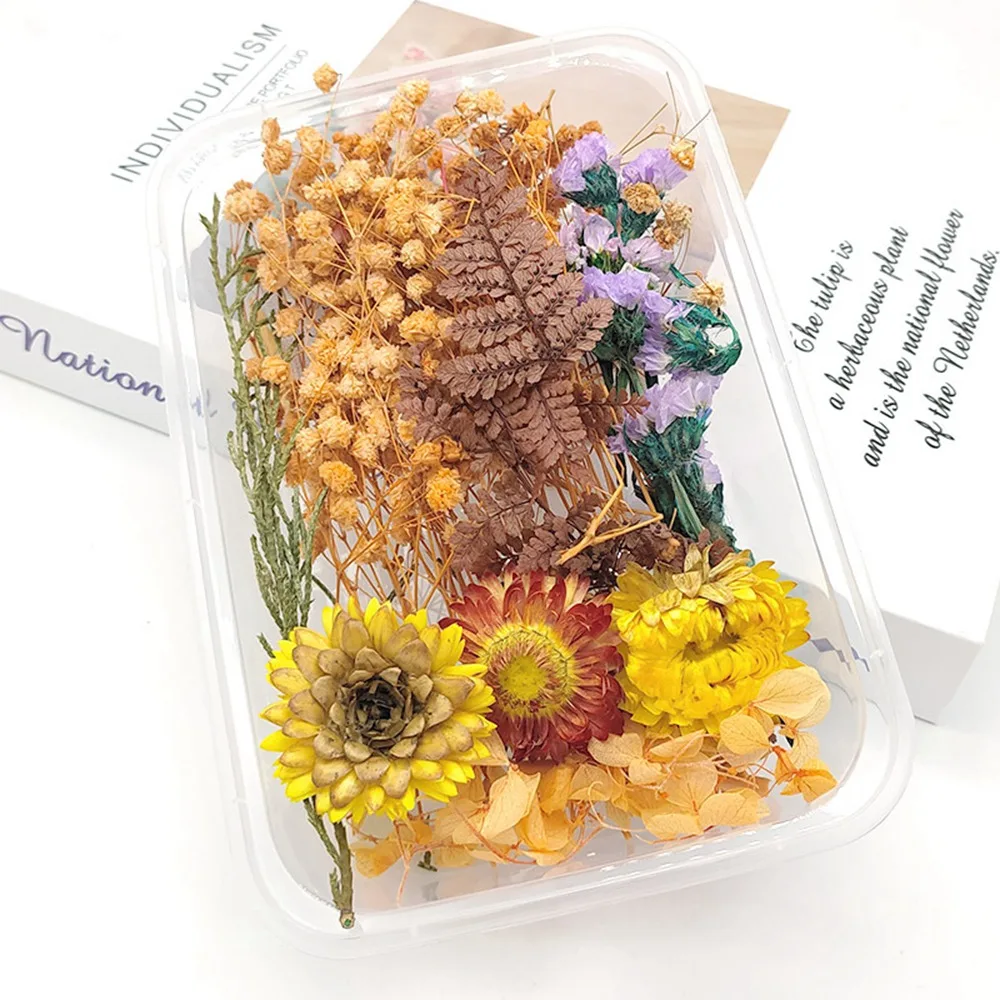 

1 Box Natural Real Dried Flowers for Resin Artificial Plants Diy Home Decoration Candle Molds Crafts Tools Making Accessories