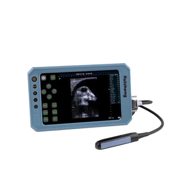 

Ruisheng T6 portable ultrasound for animal color cattle handheld scanner ultrasound veterinary