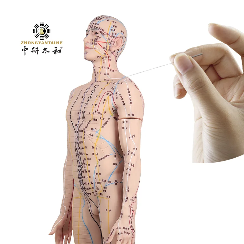 Simulated Human Acupuncture Model, Silicone Meridians Acupuncture 121Cm Acupuncture Model For Acupuncture Acupuncture-Tool Point