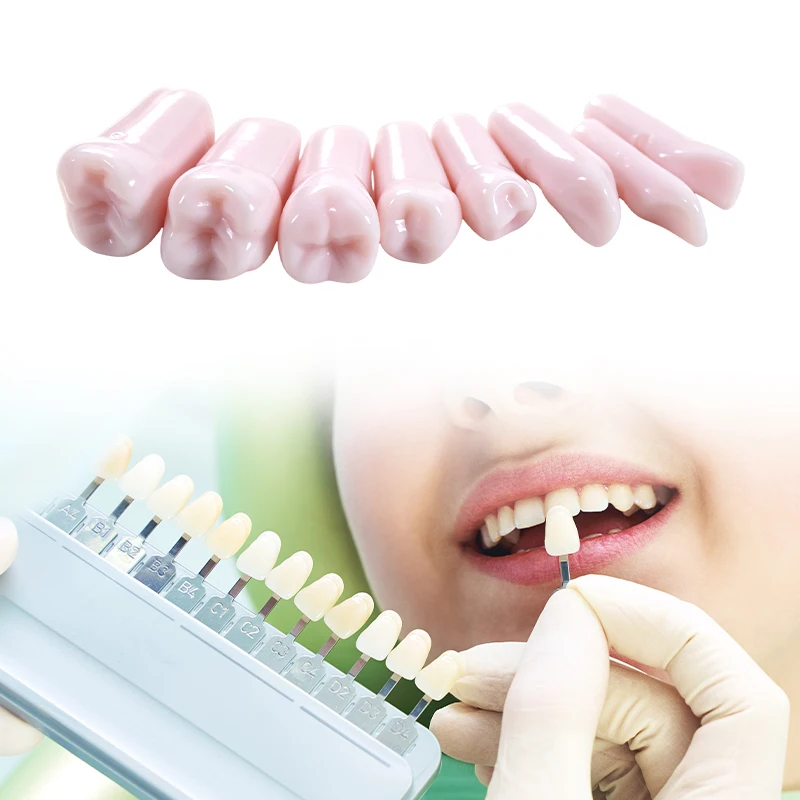 1set Dental Resin Teeth Typodont Model 32 Removable Screw Fixed Tooth Dentisit Lab Oral Endodontics Internship Teaching Tools