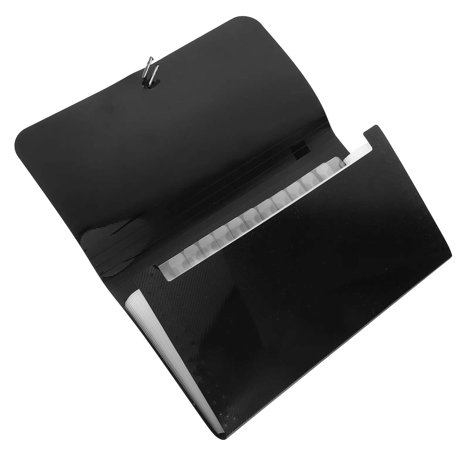 Cartella Espandibile Grande Capacità, Organizzatore Portatile per Documenti, Ricevute e Appunti, Raccoglitore Multi-Tasca