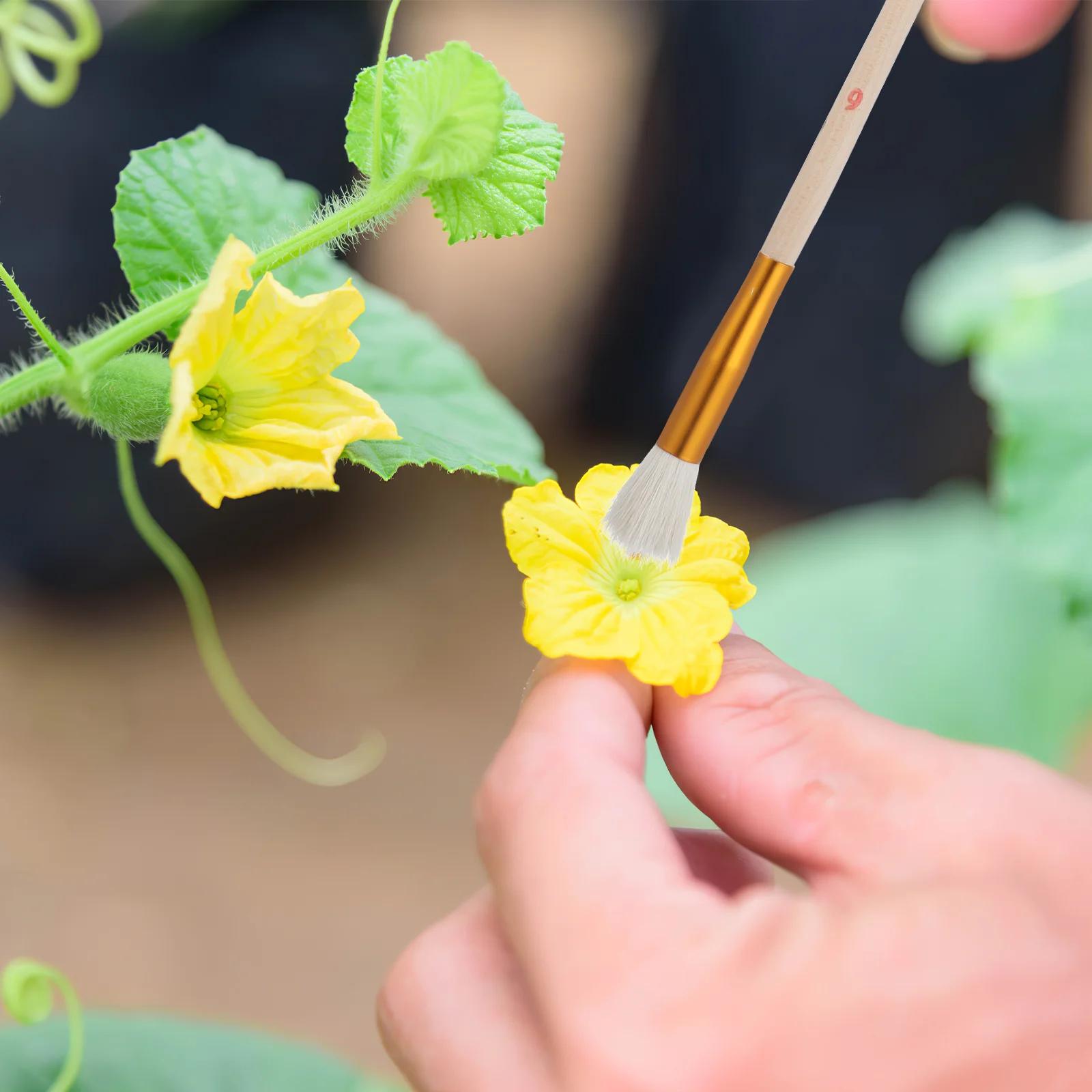 8-teiliges künstliches Kreide-Set, einfach zu verwendende Bestäuberbürsten, Obstbaumbestäuber, Krawatten-Set, Gartenbedarf, Holz, selbsthandwerkzeuge