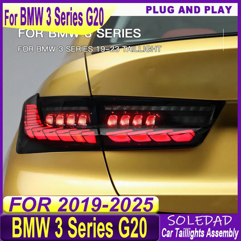 Car Taillight For BMW 3 Series G20 2019 2020 2021-2023  Dragon Scale Tail Lamp Assembly Modified Streaming Steering Rear Lamp