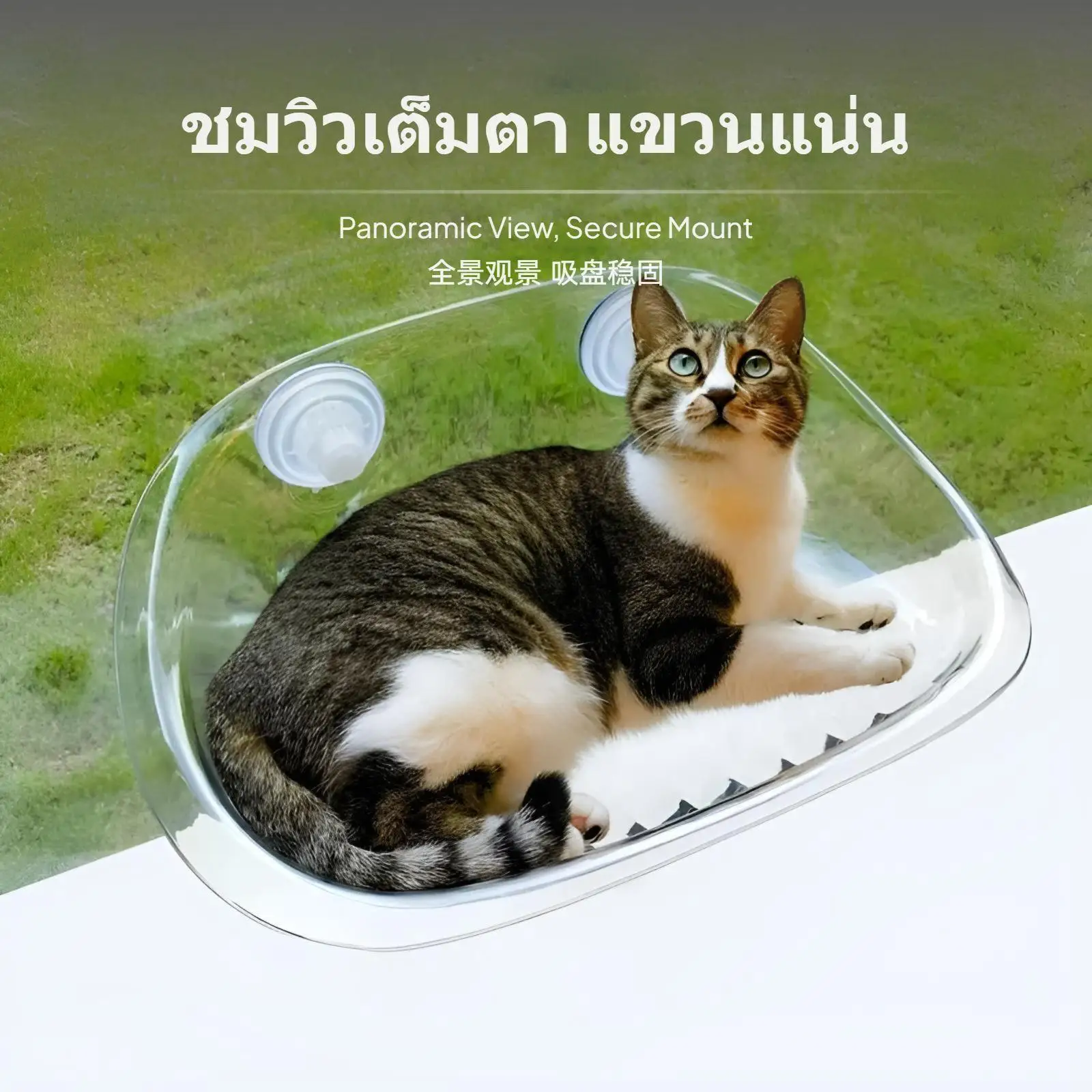 猫用クライミングフレーム、透明な眺望窓付き、吸盤式、頑丈なサポート、取り外し可能、洗濯可能、暖かい日当たりに最適