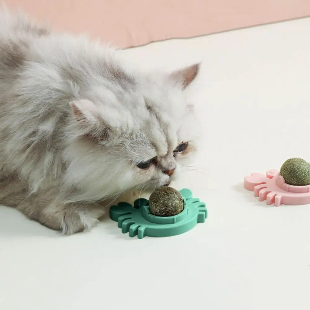 Floor-friendly Cat Toys Promote Digestion Catnip Wall Ball Toy Stick-on Design Freshen Breath Teeth Grinding Cartoon Cat Toy Cat