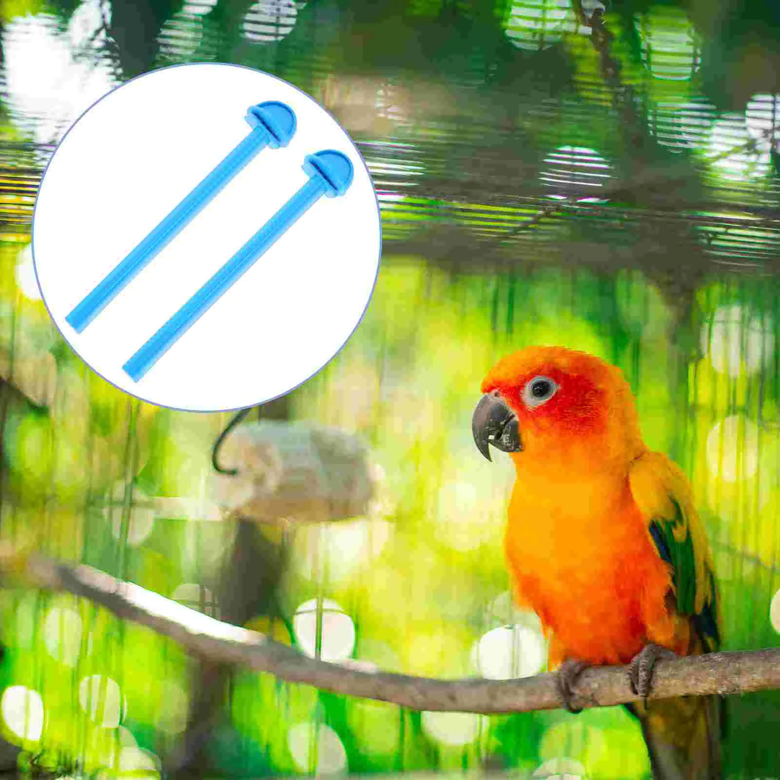 

10 Pcs Bird Plastic Pole Parrot Stand Perch Standing Cage Supplies Pet Play Gift