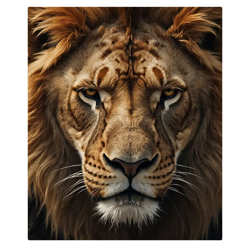 1 قطعة بطانية الفانيلا الأسد الوجه طباعة بطانية مريحة لينة لديكور المنزل والاسترخاء #2