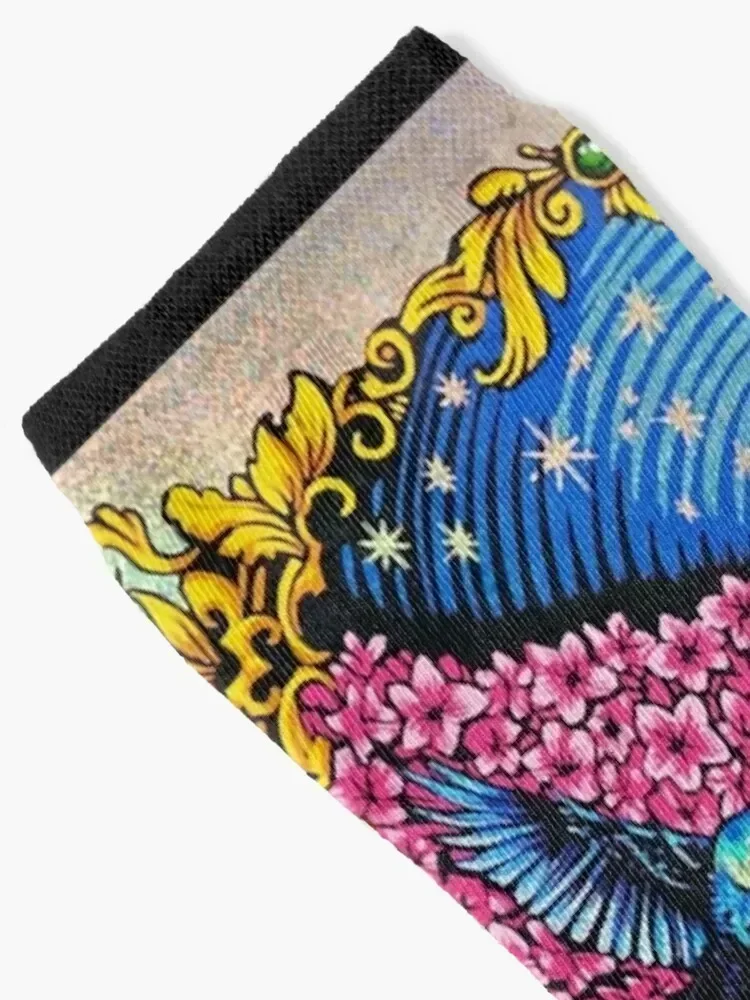 Widespread Panic Secrets You Never Knew Socks Novelties Run cute retro Socks Men's Women's