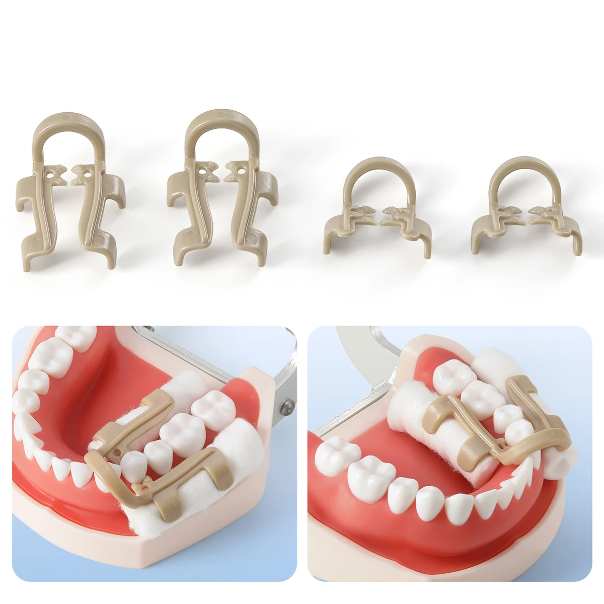 4 Stück/Box AZDENT Dental-Klammern für Baumwollrollen, für Molaren und Prämolaren, autoklavierbar, sterilisierbar, Zahnmedizin-Laborwerkzeuge – Detail 3