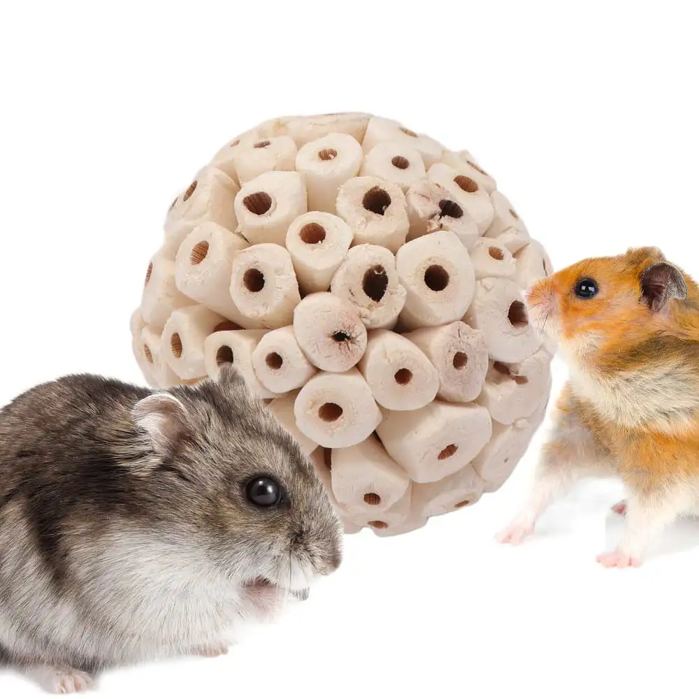 Harmless Natural Parrot Bird Accessories Tooth Grinding Budgies Sola Ball Interactive  Bird  Grinding