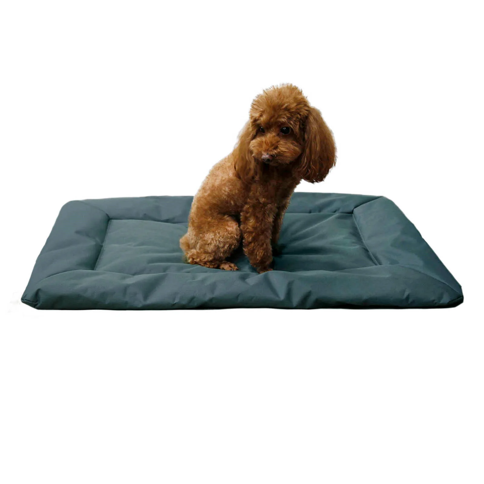 Dog Beds Crate Pad Outdoor Camping Foldable Pet Sleeping Pad 600D Oxford Cloth Waterproof Scratch-resistant Dog Mat