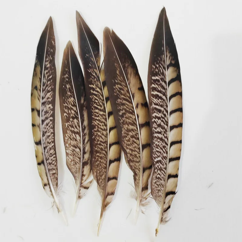 Feathers !50Pcs/Lot 10-15cm/15-20cm Nature LADY AMHERST PHEASANT Tail Feathers Loose Quills,Plume Decoration