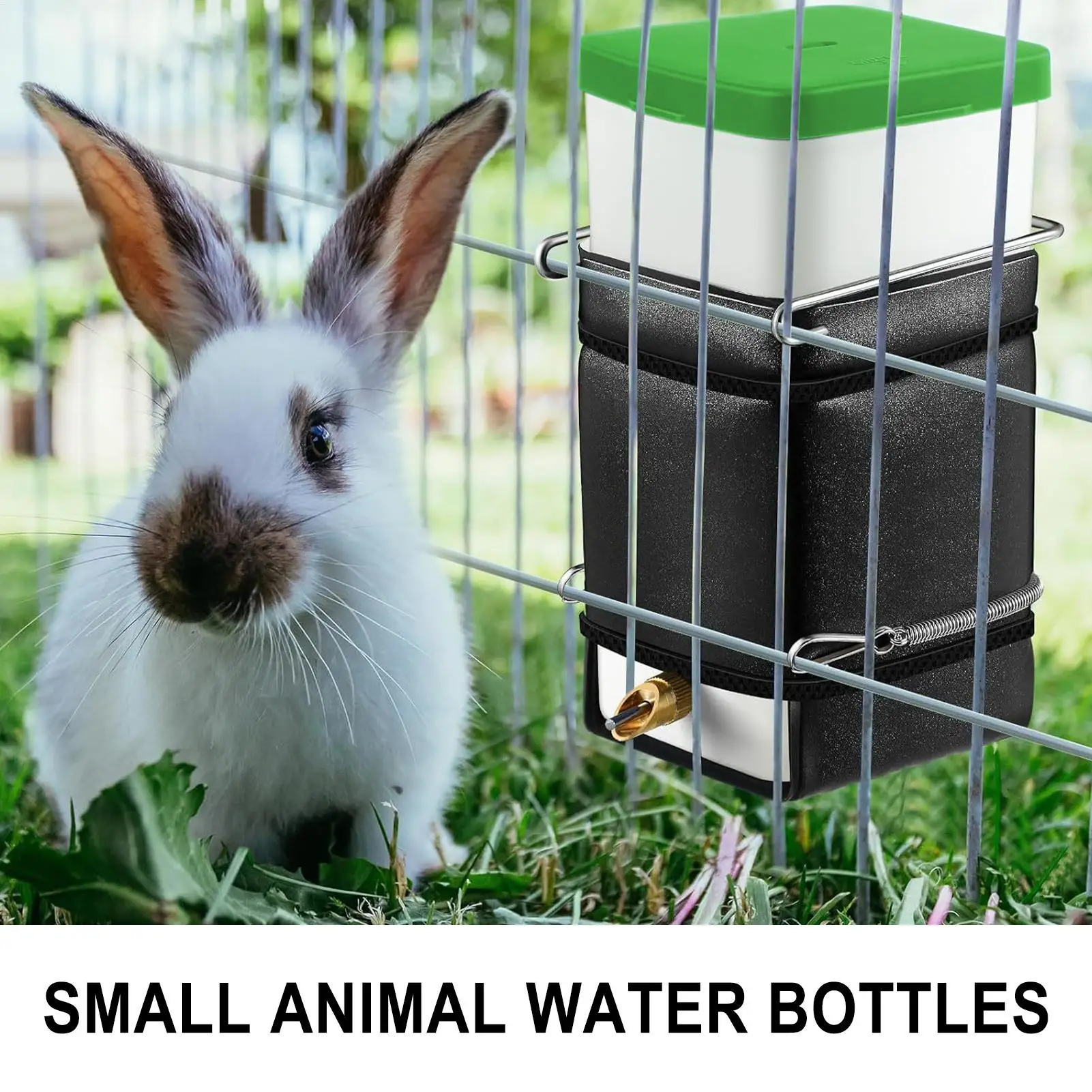 Thumbnail 4 - #18 Trending Small Animal Supplies Right Now