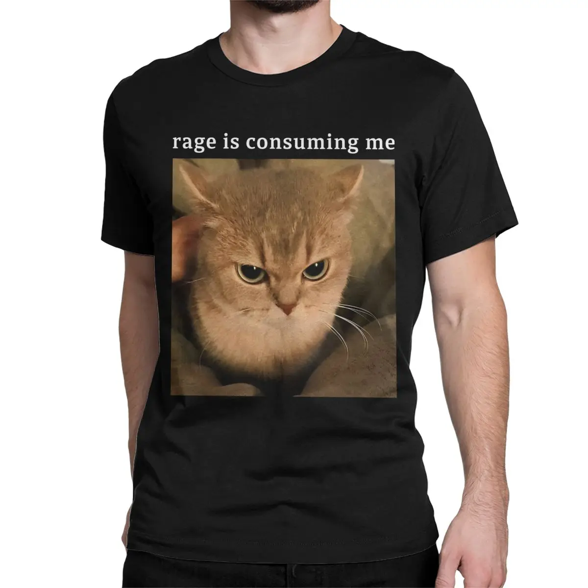 Rage Is Consuming Me Men Women T Shirts Silly Staring Cat Meme Vintage Tee Shirt Short Sleeve Crew Neck T-Shirt Cotton Printing