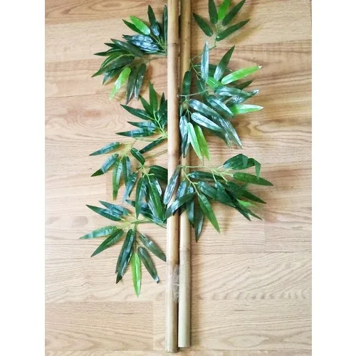 Bamboo 2 Pcs Thick Shank Bamboo Tree 80 cm Size Bamboo Tree Flower