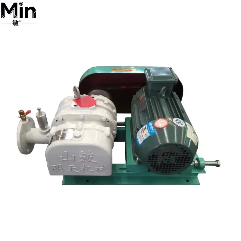 High Pressure AC Cast Iron Roots Blower Industrial Air Blower for Milking System Aquaculture Waste Water Treatment