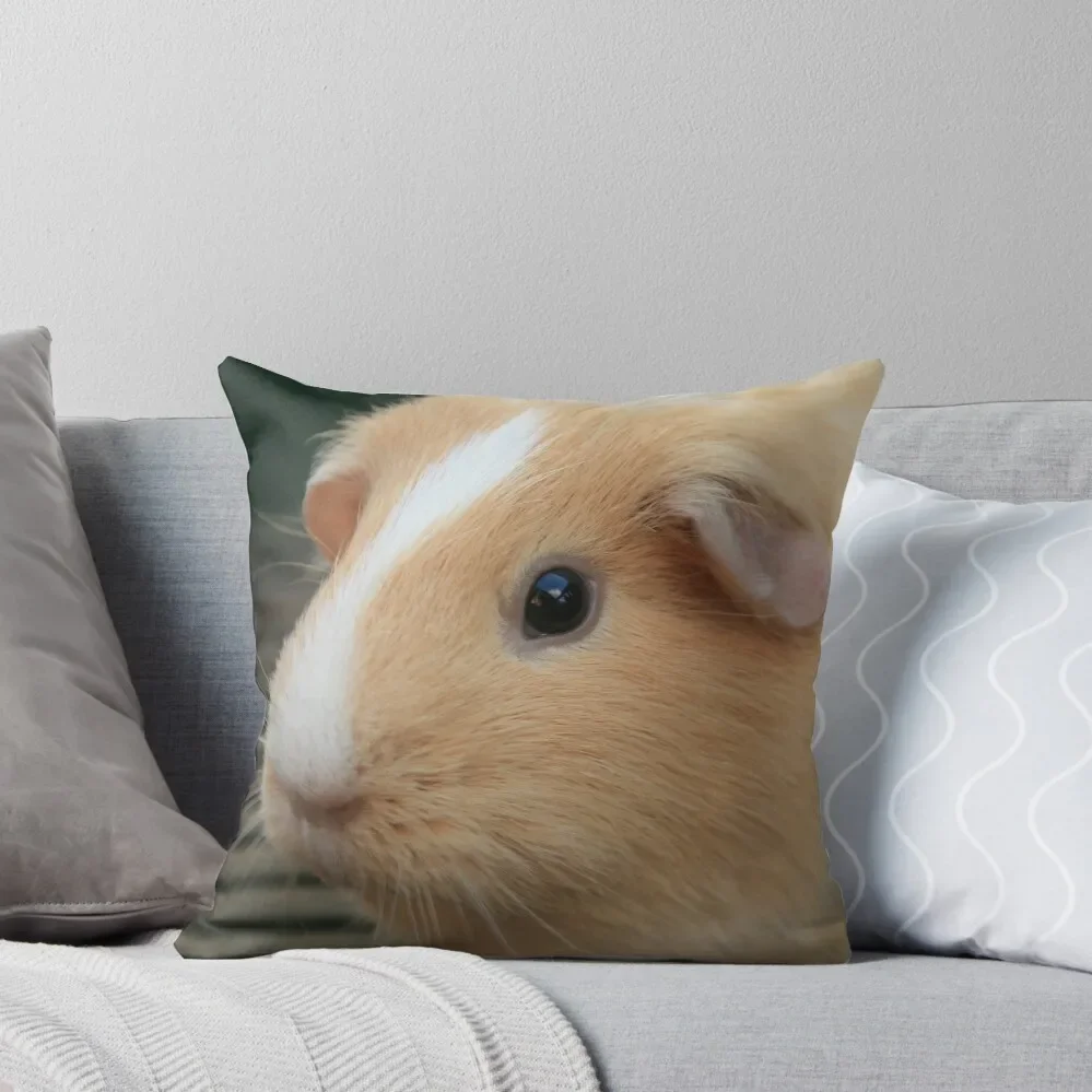 Vauxhall City Farm - Guinea Pig (Ginger) Throw Pillow Cushions Cover Ornamental Pillow Pillow